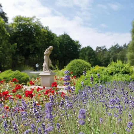 Bernstein فندق 4*